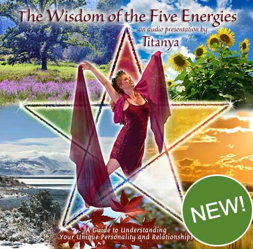 Audio CD - The Wisdom of the Five Energies