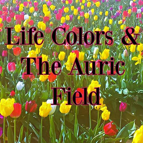 Life Colors & the Auric Field
